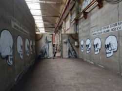  Babcockerie : street art et Urbex dans les anciennes usines Babcock & Wilcox  la Courneuve