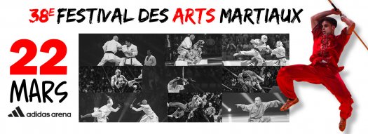 Festival des arts martiaux  Paris 2025